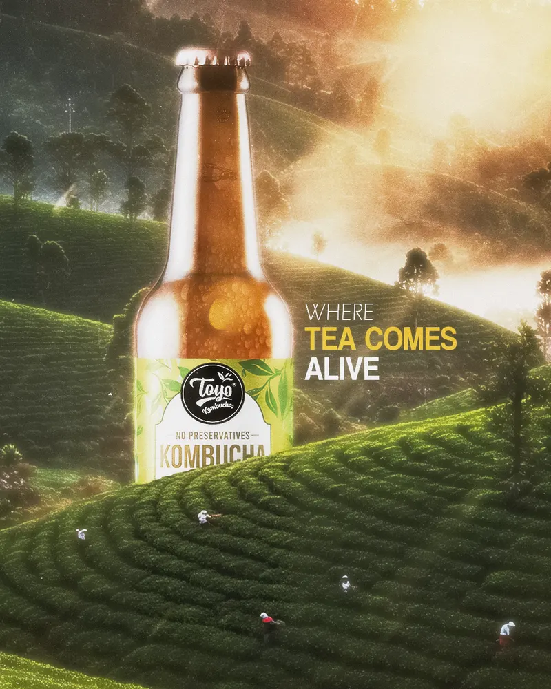 kombucha
